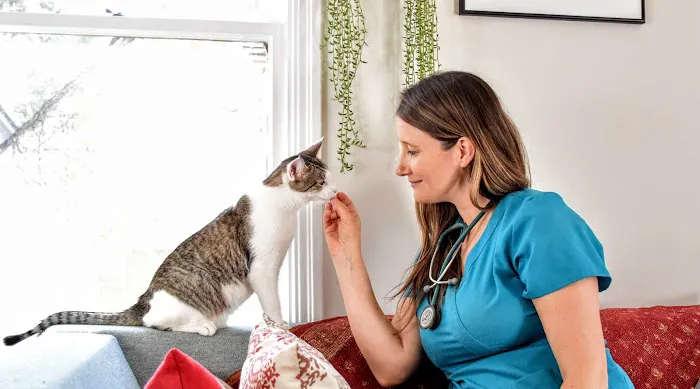 Holistika Veterinary Picture 4