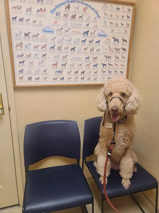 Rosemont Veterinary Hospital Picture 7