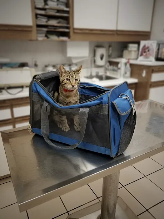 Hillcrest Pet Hospital Picture 1