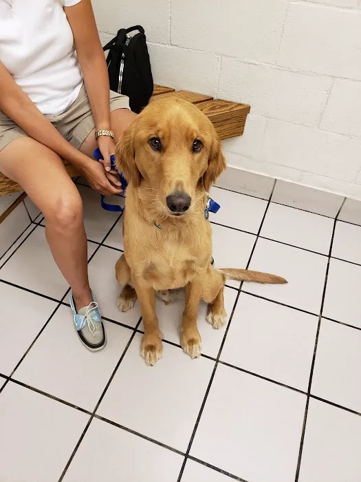Hillcrest Pet Hospital Picture 8