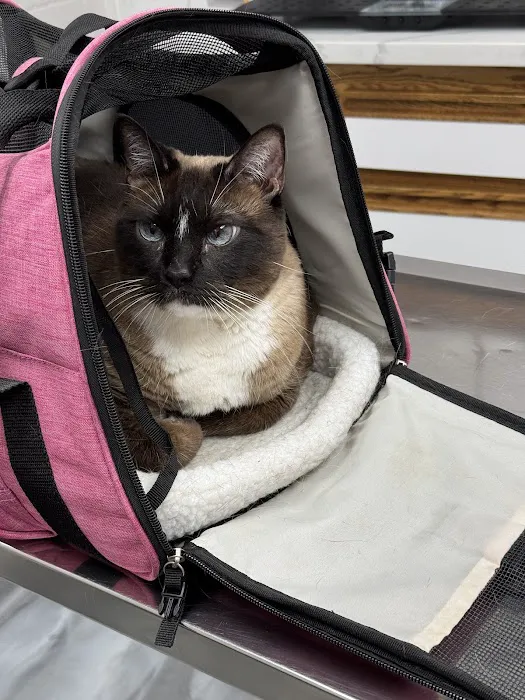 Hillcrest Pet Hospital Picture 7