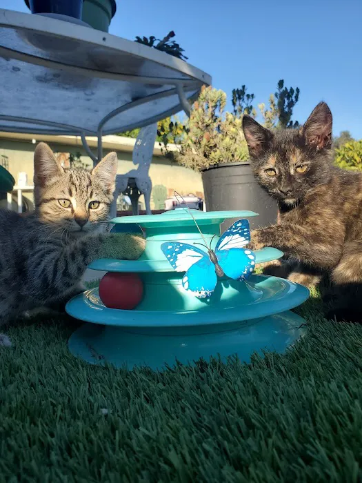 Montrose Pet Hospital Picture 2