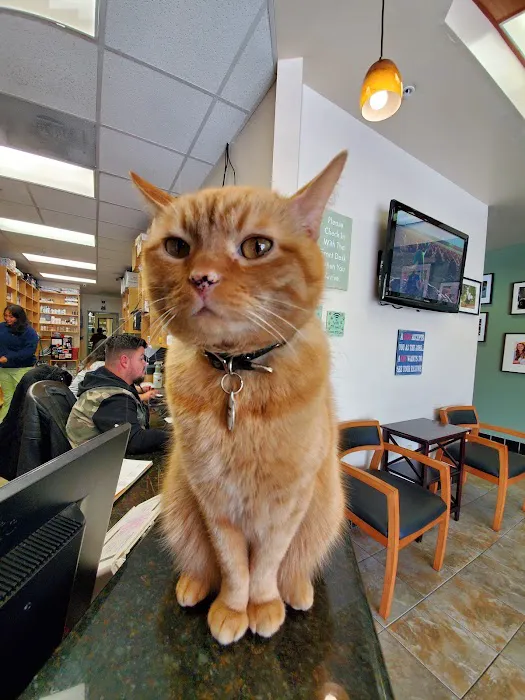 Montrose Pet Hospital Picture 9