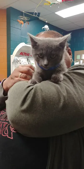 Boulevard Pet Clinic Picture 1