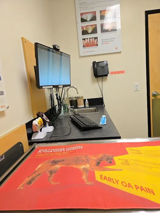 Banfield Pet Hospital Picture 4