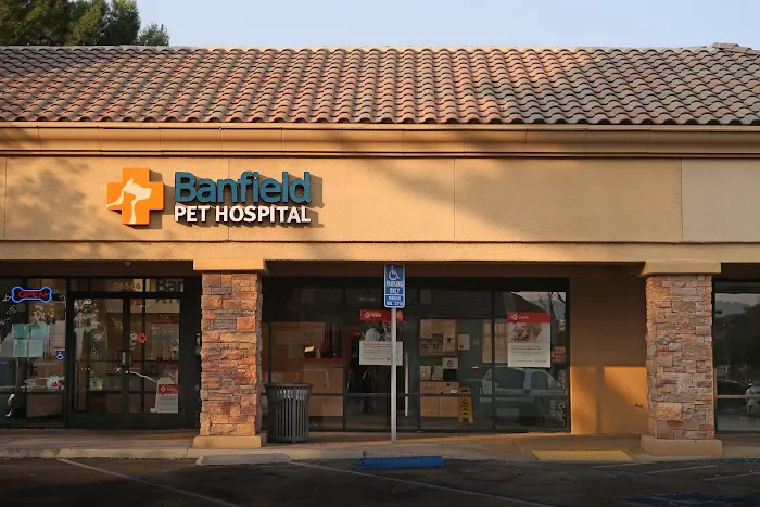 Banfield Pet Hospital Picture 5