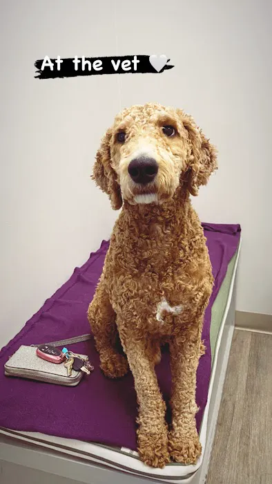 Copper Hill Animal Clinic Picture 1