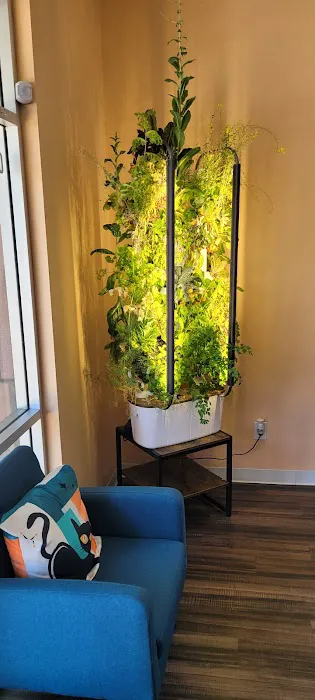 Treehouse Animal Hospital Picture 5