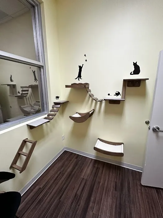 Treehouse Animal Hospital Picture 10