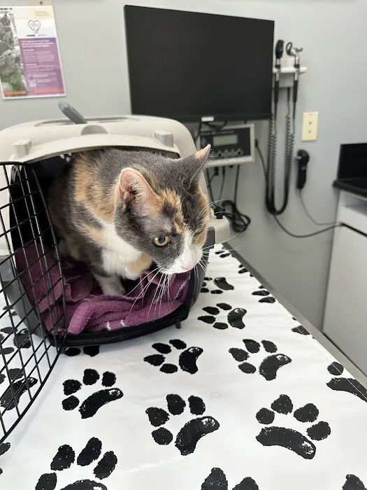 Valencia Veterinary Center Picture 2