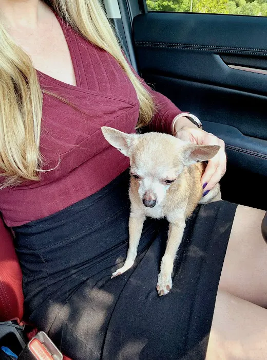 Valencia Veterinary Center Picture 8