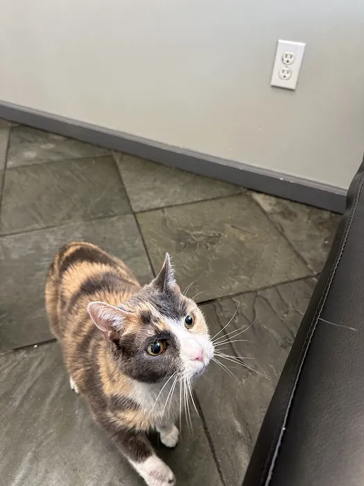 Valencia Veterinary Center Picture 6