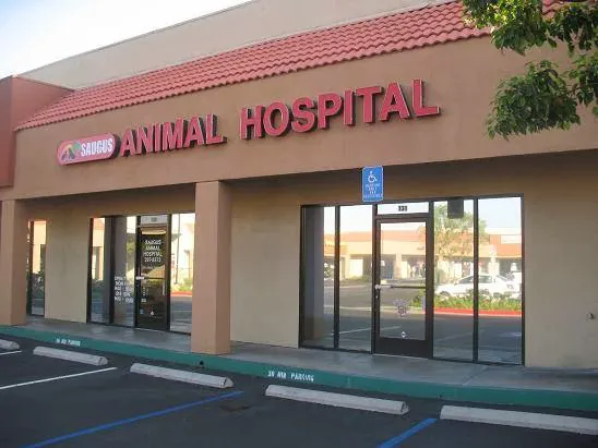 Saugus Animal Hospital Picture 5