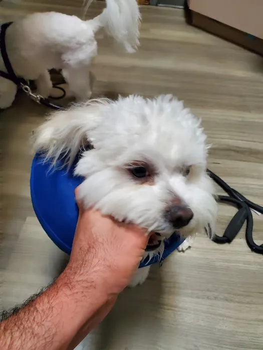 Grand Canyon Veterinary Hospital Picture 5