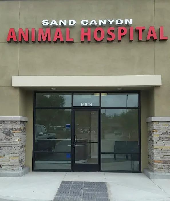 Sand Canyon Animal Hospital Picture 3