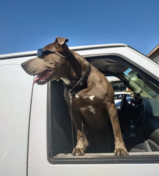 Sand Canyon Animal Hospital Picture 2
