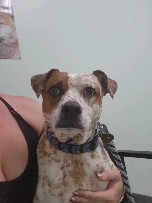 Sand Canyon Animal Hospital Picture 5
