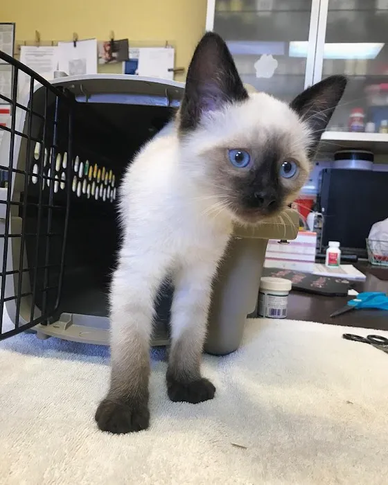 Happy Pets Veterinary Center Picture 10