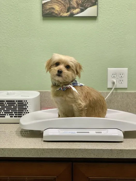 Quality Animal Clinic Picture 7
