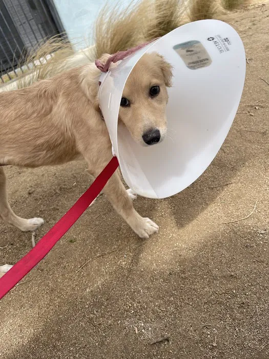 Quality Animal Clinic Picture 10