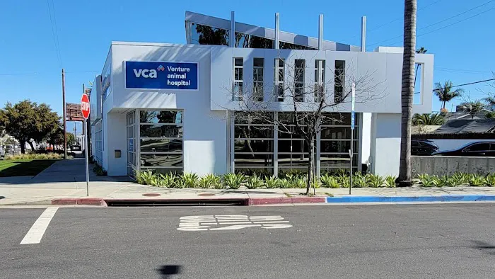 VCA Venture Animal Hospital Picture 5