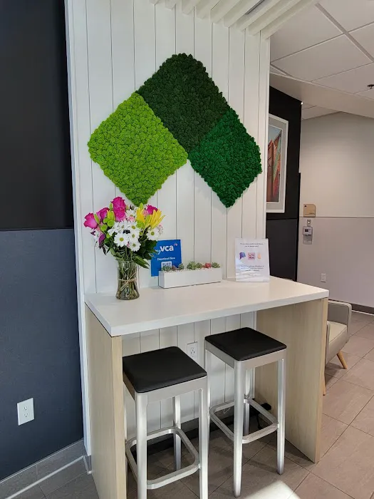 VCA Venture Animal Hospital Picture 10