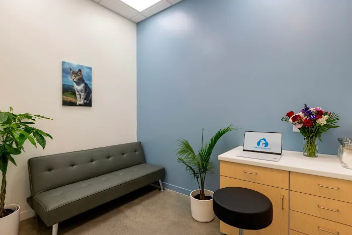 Cumulus Animal Hospital Picture 6