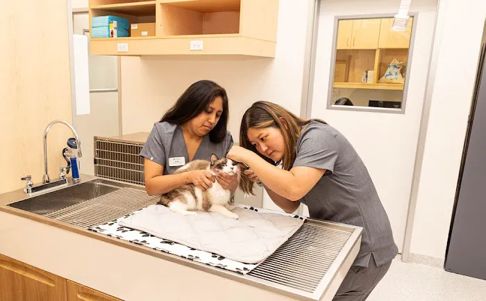 Cumulus Animal Hospital Picture 4