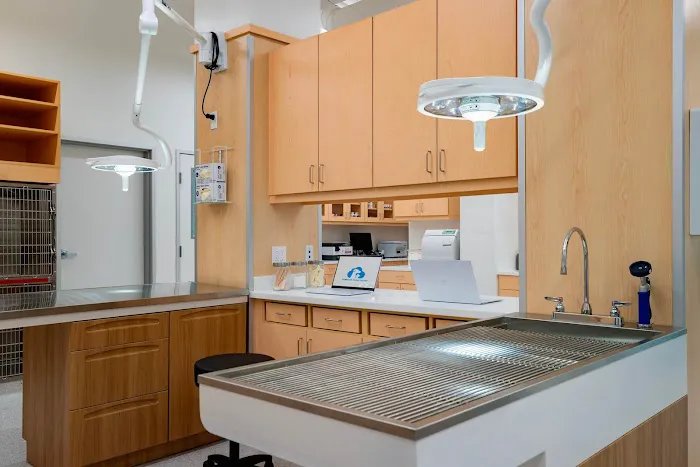Cumulus Animal Hospital Picture 10