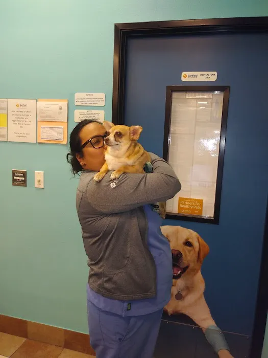 Banfield Pet Hospital Picture 8