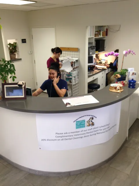 Manhattan Beach Animal Hospital Picture 6