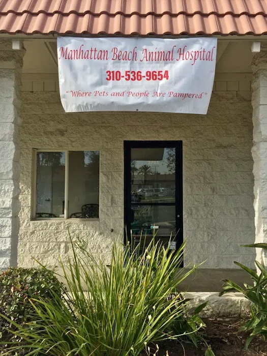 Manhattan Beach Animal Hospital Picture 3