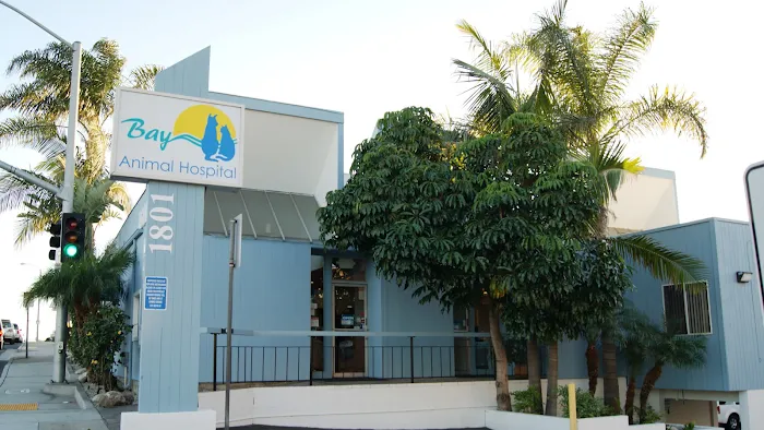 Bay Animal Hospital Picture 1