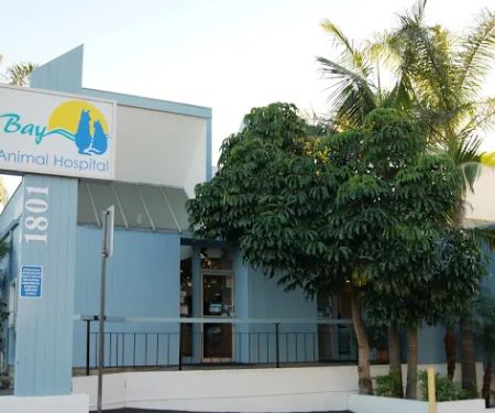 Bay Animal Hospital