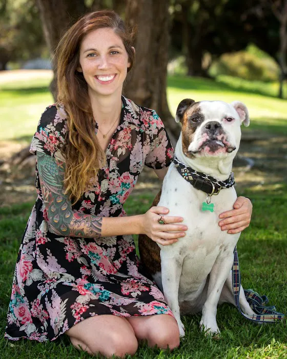 Bay Animal Hospital Picture 3