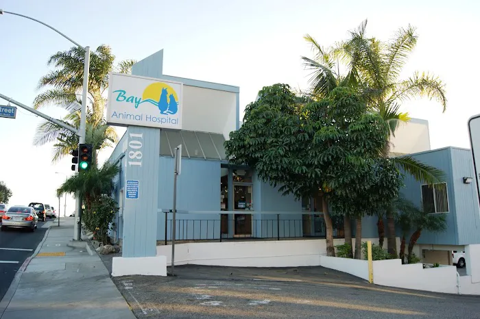 Bay Animal Hospital Picture 6