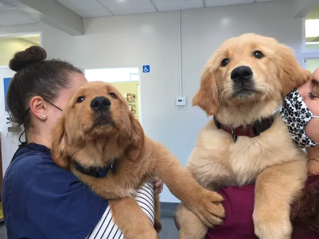 Bay Animal Hospital Picture 9