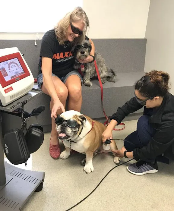 VCA Animal Medical & Dental Group Picture 6