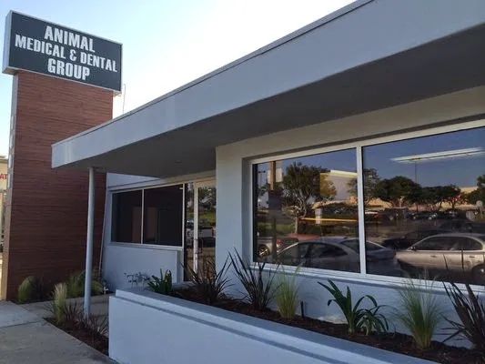 VCA Animal Medical & Dental Group Picture 9