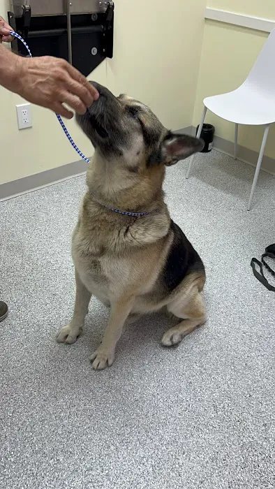 Rosecrans Veterinary Clinic Picture 1
