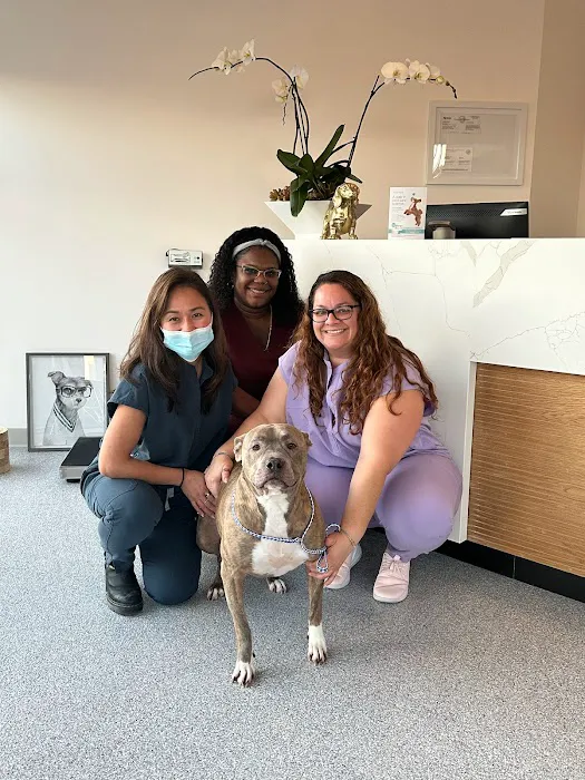 Rosecrans Veterinary Clinic Picture 4