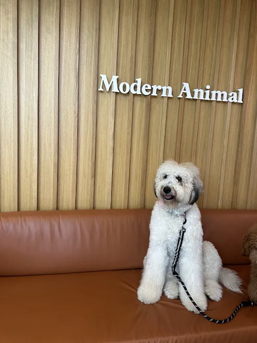 Modern Animal Picture 3