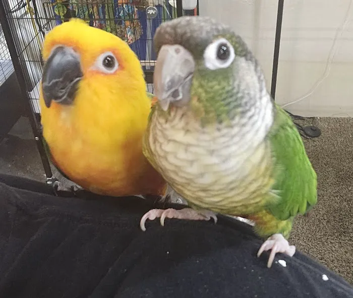 Avian & Exotic Animal Hospital Picture 2