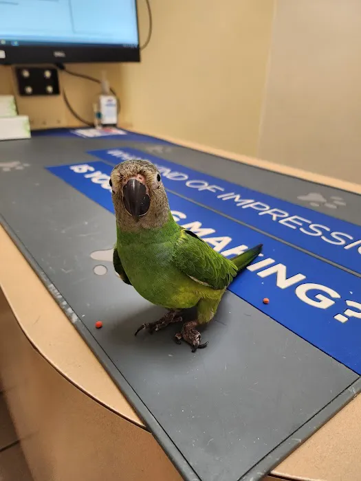 Avian & Exotic Animal Hospital Picture 3