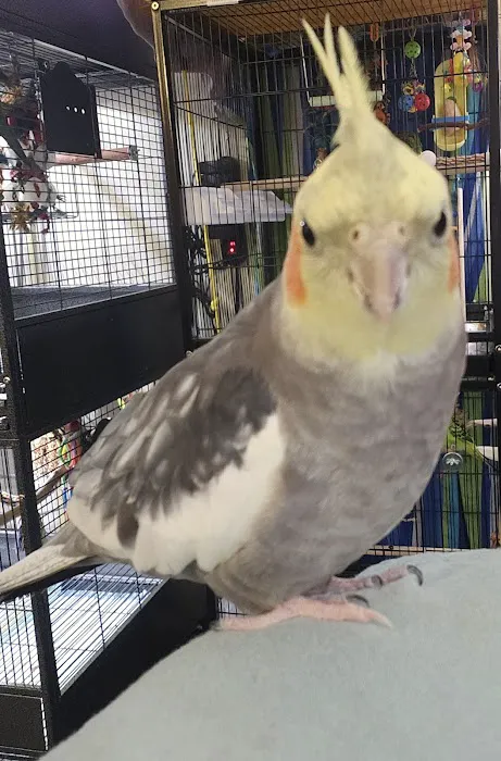 Avian & Exotic Animal Hospital Picture 4