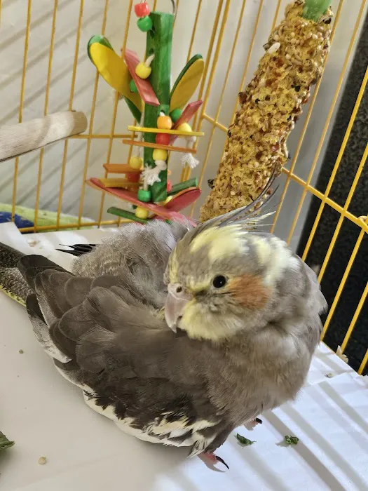 Avian & Exotic Animal Hospital Picture 8