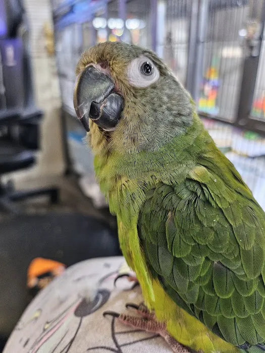 Avian & Exotic Animal Hospital Picture 6