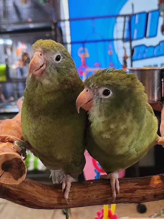 Avian & Exotic Animal Hospital Picture 10