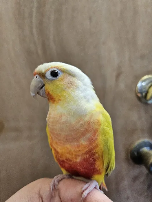 Avian & Exotic Animal Hospital Picture 9