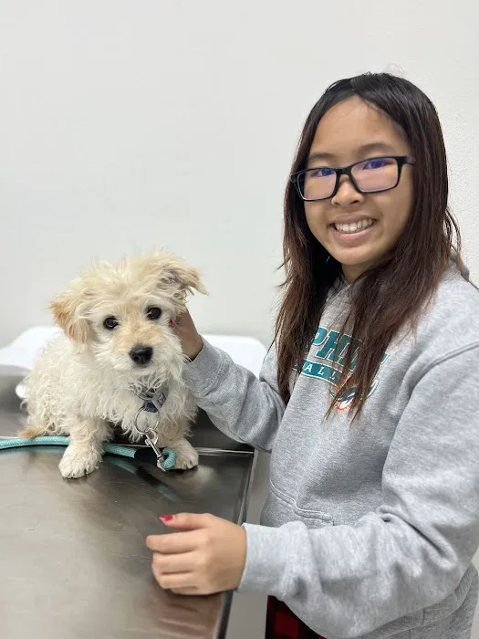 Animal Hospital of South Bay Picture 3